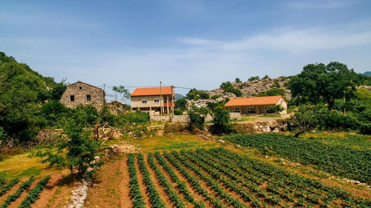 Apartments Econature Virpazar Bagian luar foto