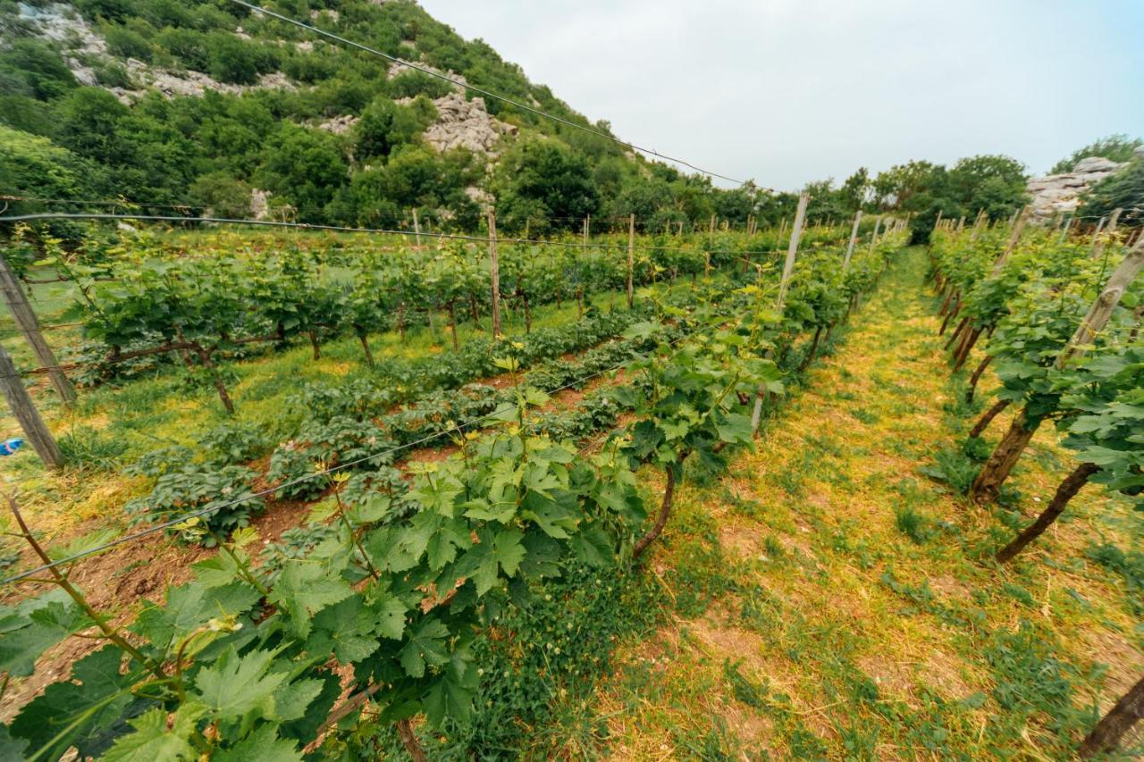 Apartments Econature Virpazar Bagian luar foto
