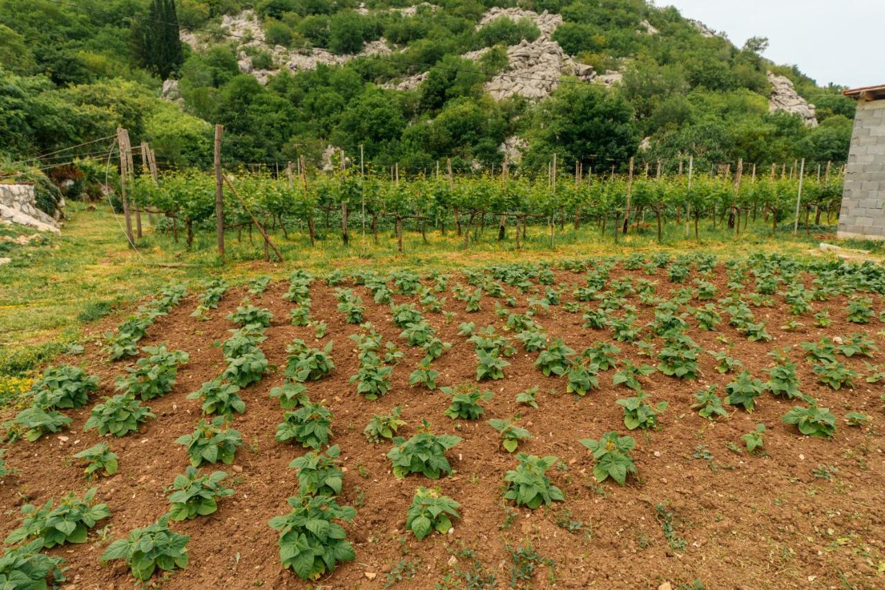 Apartments Econature Virpazar Bagian luar foto
