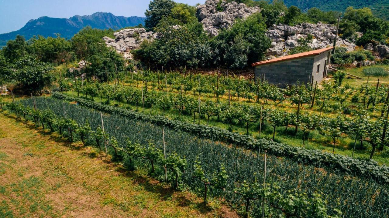 Apartments Econature Virpazar Bagian luar foto