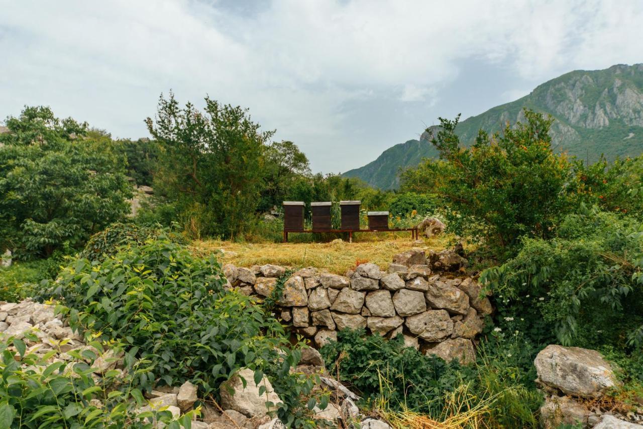 Apartments Econature Virpazar Bagian luar foto
