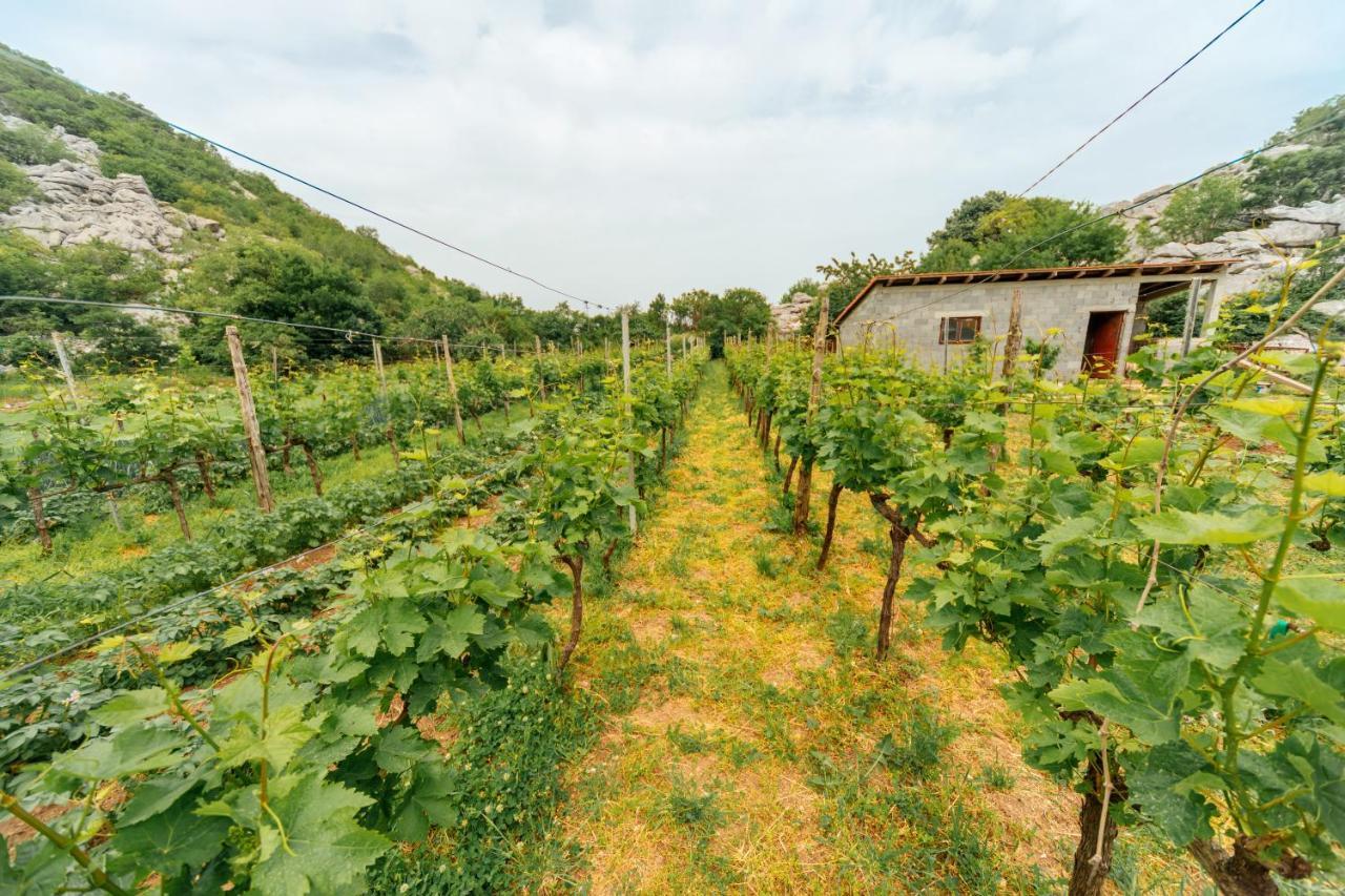 Apartments Econature Virpazar Bagian luar foto