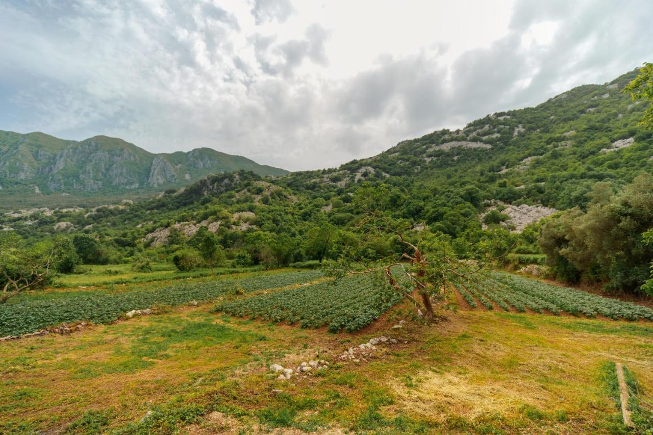 Apartments Econature Virpazar Bagian luar foto