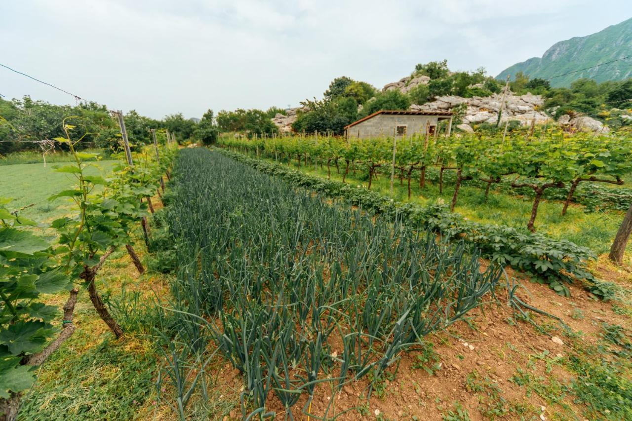 Apartments Econature Virpazar Bagian luar foto